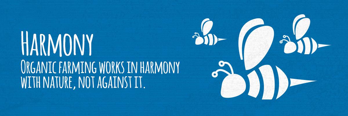 Harmony with nature graphic